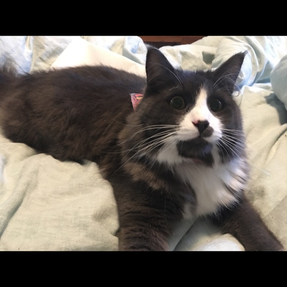 Meet your Posher, Kasi - Picture 8 of 10